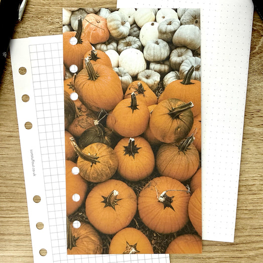Orange and Ivory Pumpkins Dashboard - Choose Your Ring or Disc Planner Size