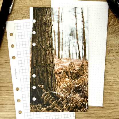 Golden Autumn Ferns Dashboard - Choose Your Ring or Disc Planner Size