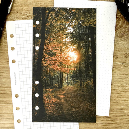 Forest Sunset Dashboard - Choose Your Ring or Disc Planner Size