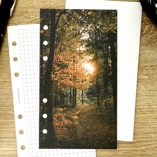 Forest Sunset Dashboard - Choose Your Ring or Disc Planner Size