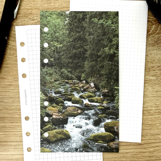 Mossy Forest Stream Dashboard - Choose Your Ring or Disc Planner Size