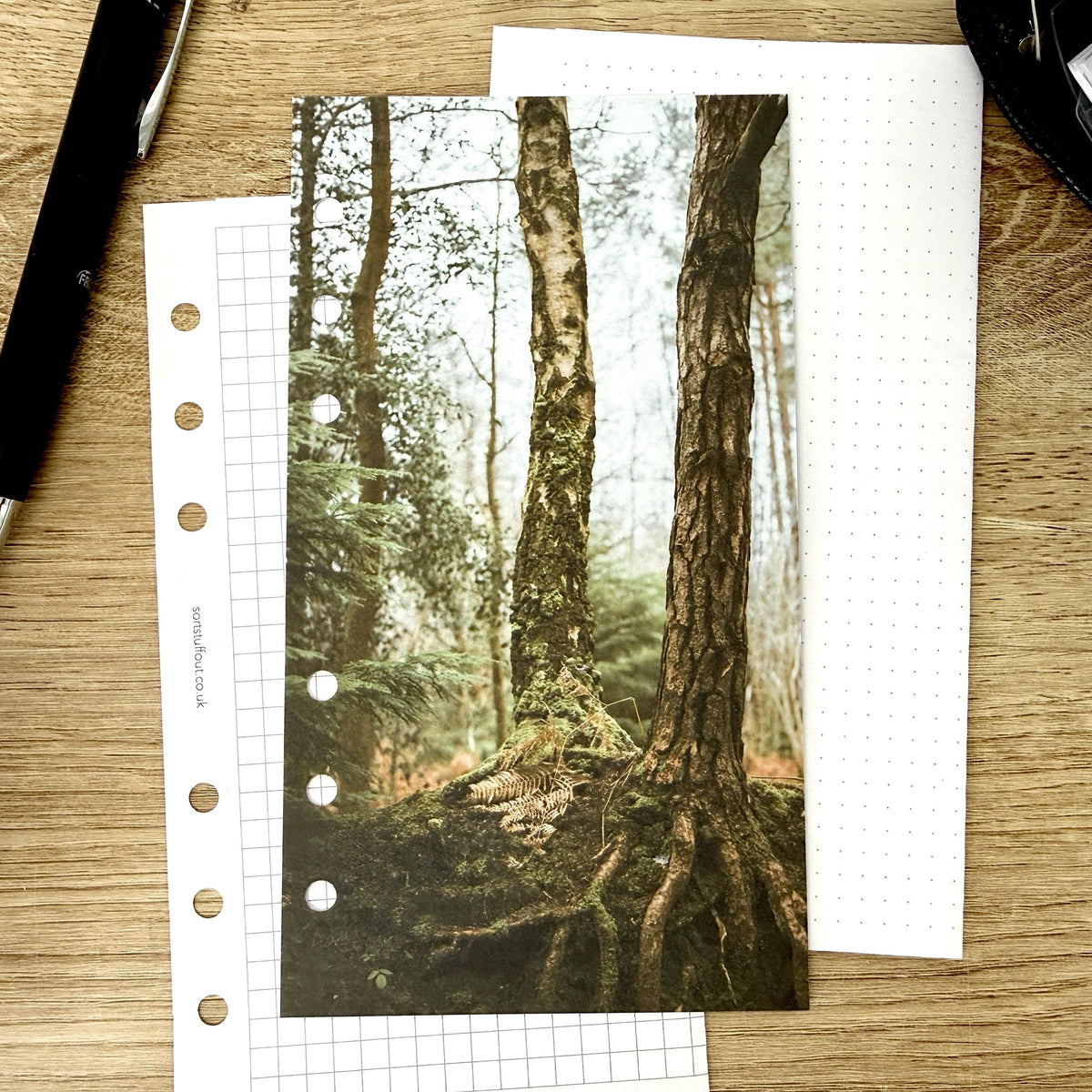Mossy Woodland Roots Dashboard - Choose Your Ring or Disc Planner Size