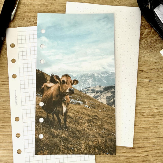 Mountain Cow Dashboard - Choose Your Ring or Disc Planner Size