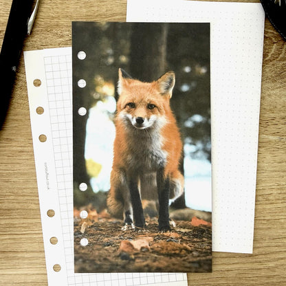 Autumn Woodland Fox Dashboard - Choose Your Ring or Disc Planner Size
