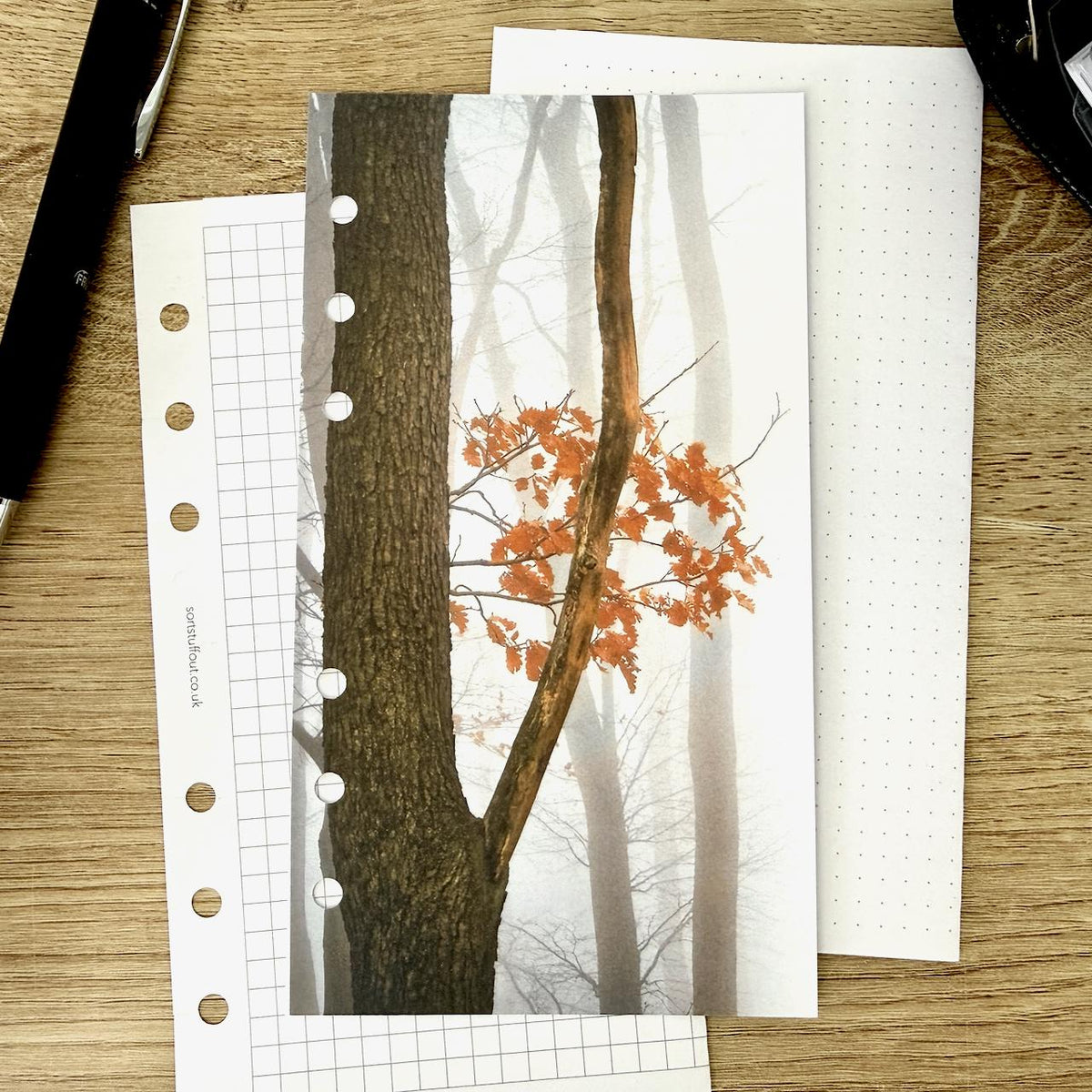 Misty Forest Dashboard - Choose Your Ring or Disc Planner Size