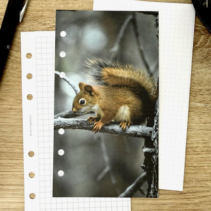 Squirrel on a Branch - Choose Your Ring or Disc Planner Size