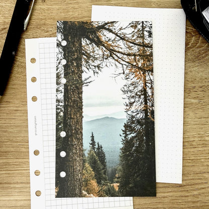 Beyond the Autumn Trees Dashboard - Choose Your Ring or Disc Planner Size