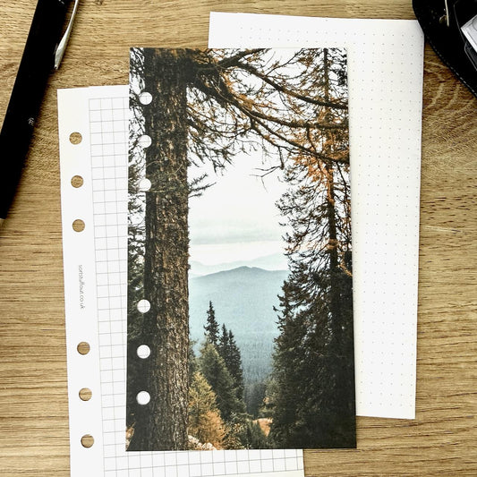 Beyond the Autumn Trees Dashboard - Choose Your Ring or Disc Planner Size