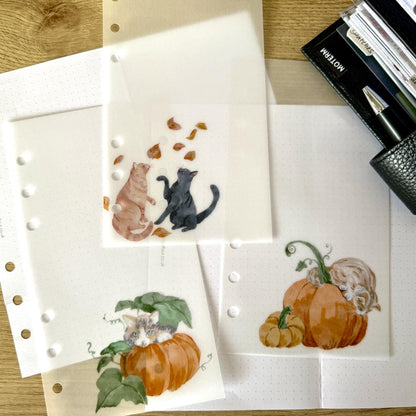 Cats and Pumpkins Vellum Dashboards - Set of 3 - Choose Your Ring or Disc Planner Size Inserts