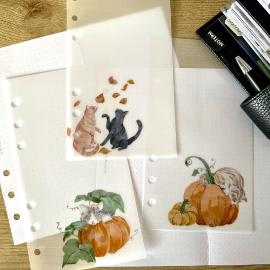 Cats and Pumpkins Vellum Dashboards - Set of 3 - Choose Your Ring or Disc Planner Size Inserts