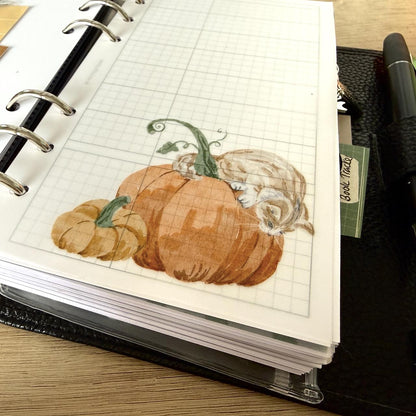 Cats and Pumpkins Vellum Dashboards - Set of 3 - Choose Your Ring or Disc Planner Size Inserts