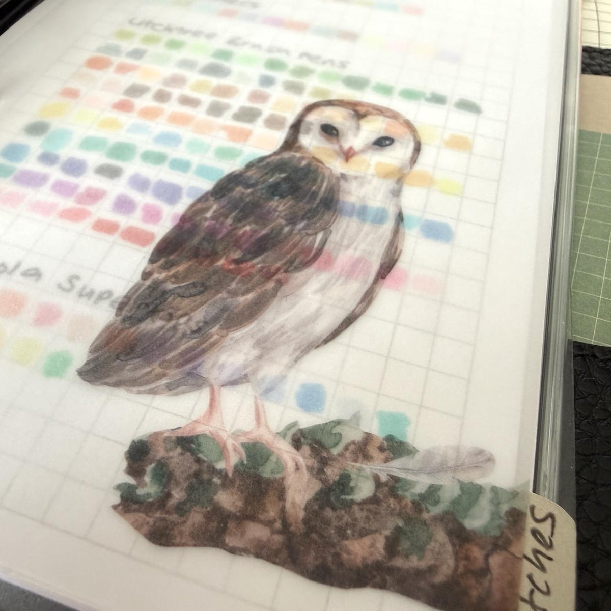 Woodland Friends Vellum Dashboards - Set of 4 - Choose Your Ring of Disc Planner Size Insert