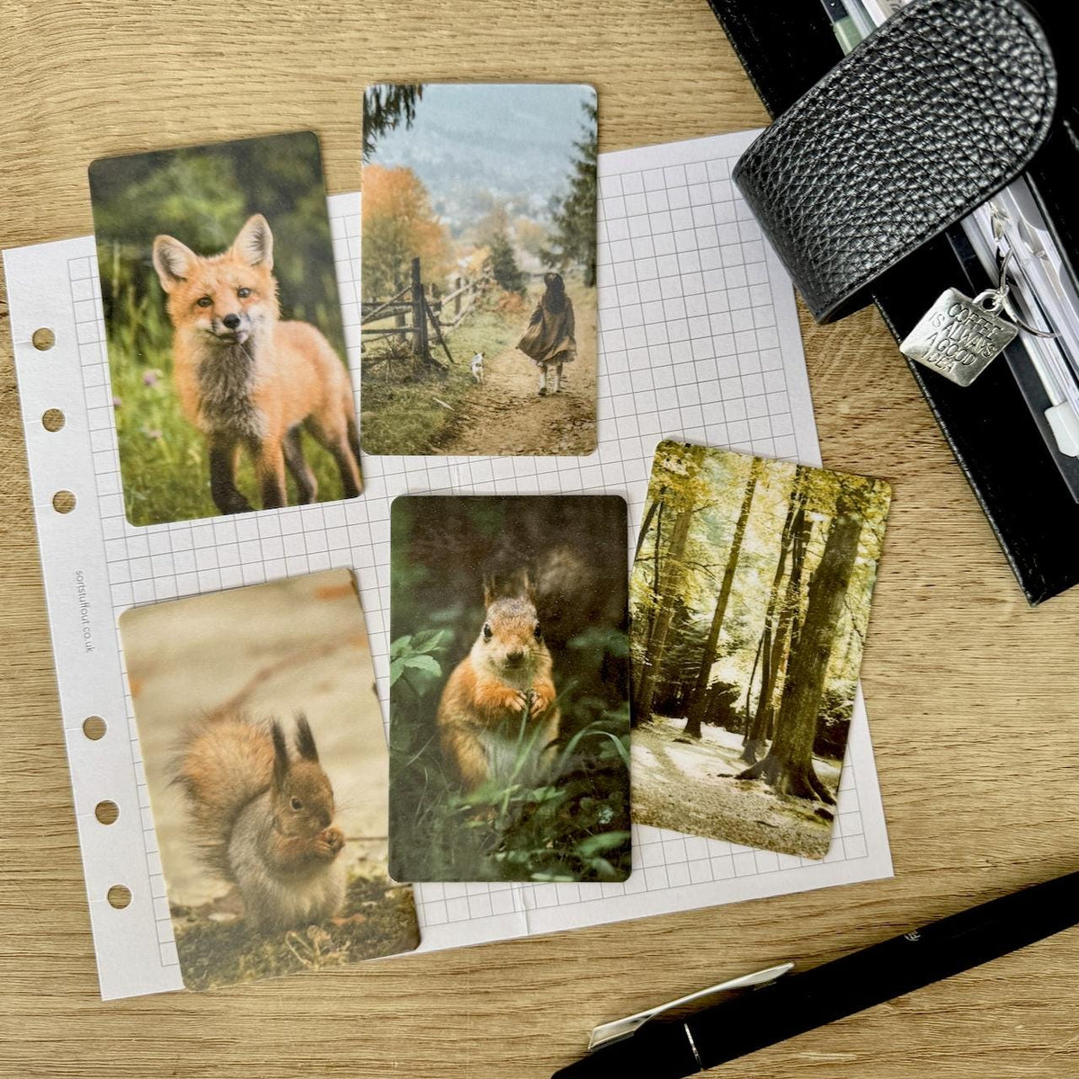 Journal Cards - Autumn Lakes - 5 Pack for Planner Deco - Use as Bookmarks, Decoration - Clip and Card Holder Options
