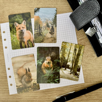 Journal Cards - Autumn Lakes - 5 Pack for Planner Deco - Use as Bookmarks, Decoration - Clip and Card Holder Options