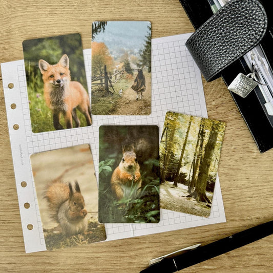 Journal Cards - Autumn Lakes - 5 Pack for Planner Deco - Use as Bookmarks, Decoration - Clip and Card Holder Options
