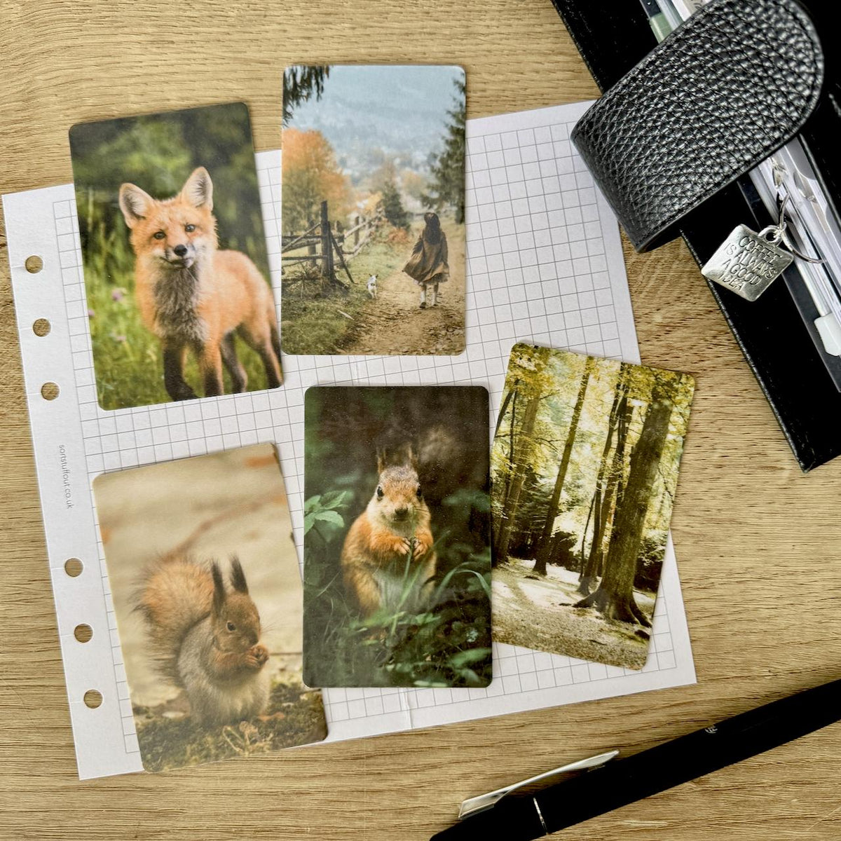 Journal Cards - Forest Friends - 5 Pack for Planner Deco - Use as Bookmarks, Decoration - Clip and Card Holder Options