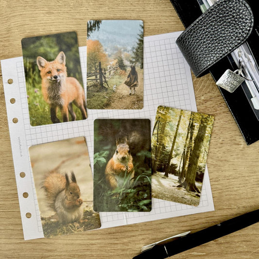Journal Cards - Forest Friends - 5 Pack for Planner Deco - Use as Bookmarks, Decoration - Clip and Card Holder Options