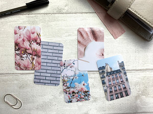 Journal Cards - Pink Magnolia Set
