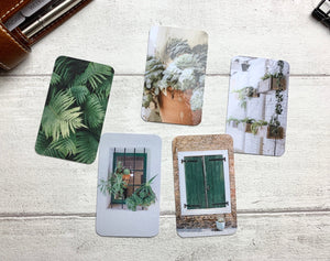 Journal Cards - Summer Green Set
