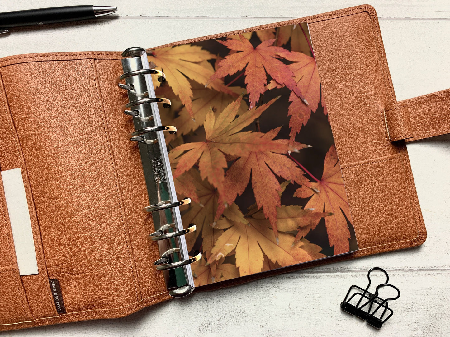 Autumn Large Maple Leaves Dashboard