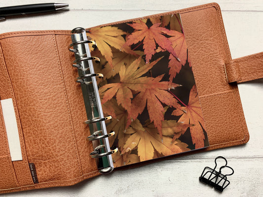 Autumn Large Maple Leaves Dashboard