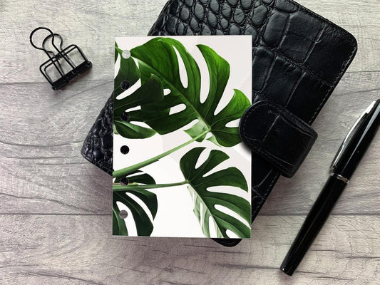 Tropical Monstera Leaves - Foliage Dashboard