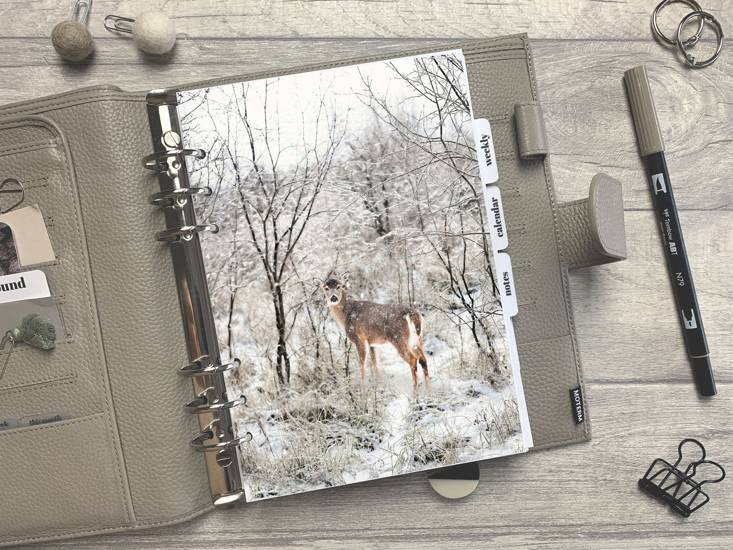 Winter Deer in Snow Dashboard