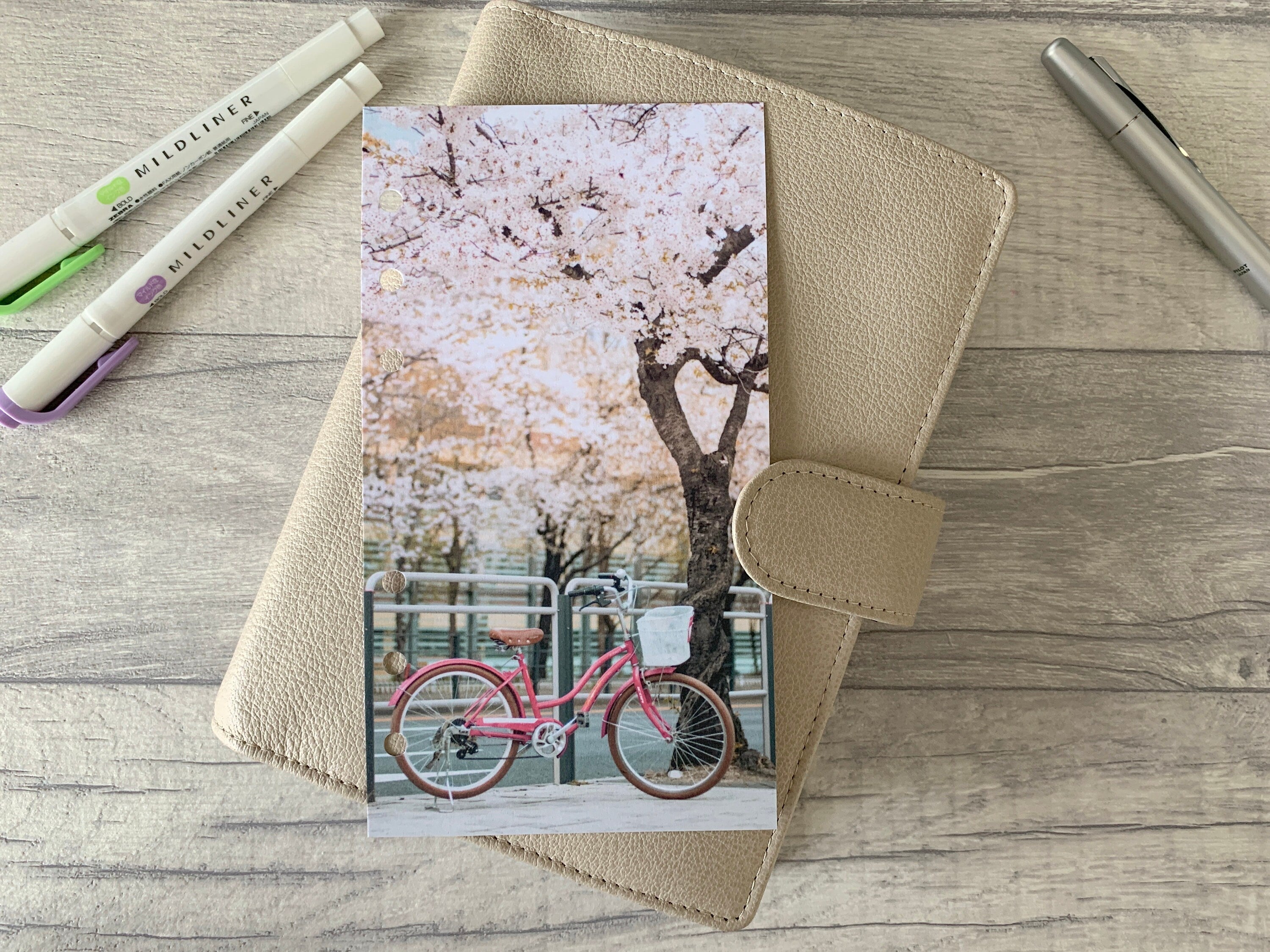 Blossom & Bicycle Dashboard
