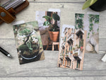 Load image into Gallery viewer, Filofax Mini summer Green Planner Dividers - Photographic Top Tabs
