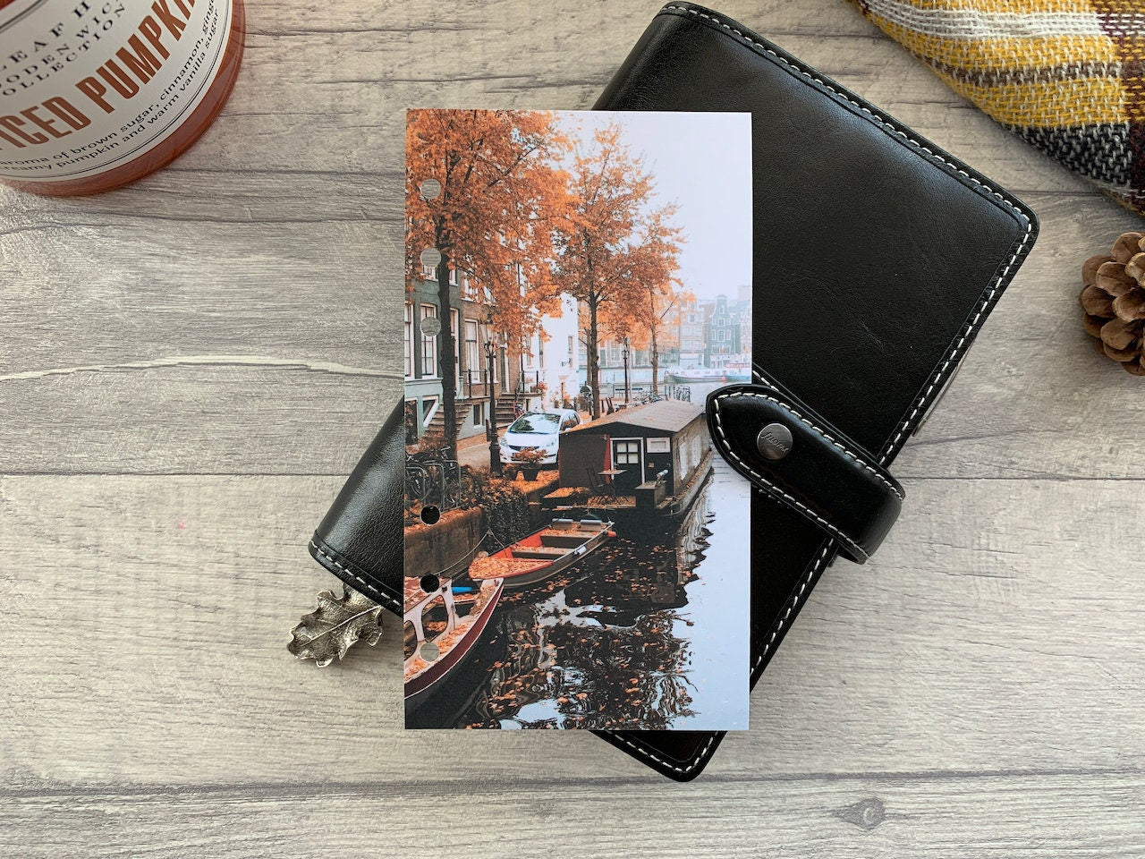 Canal Walk - Autumn Fall Dashboard