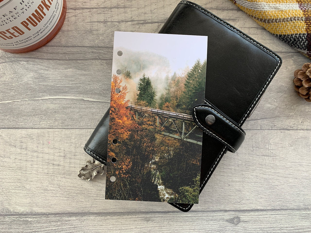 Forest Bridge - Autumn Fall Dashboard