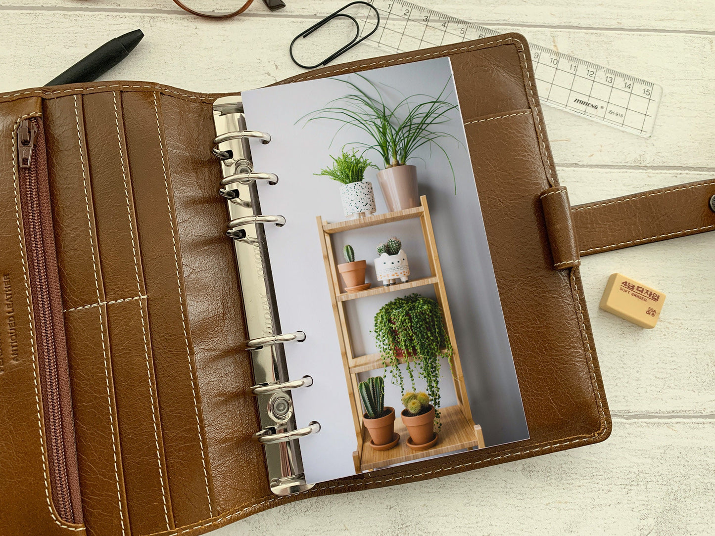 Bookcase and Plants Dashboard