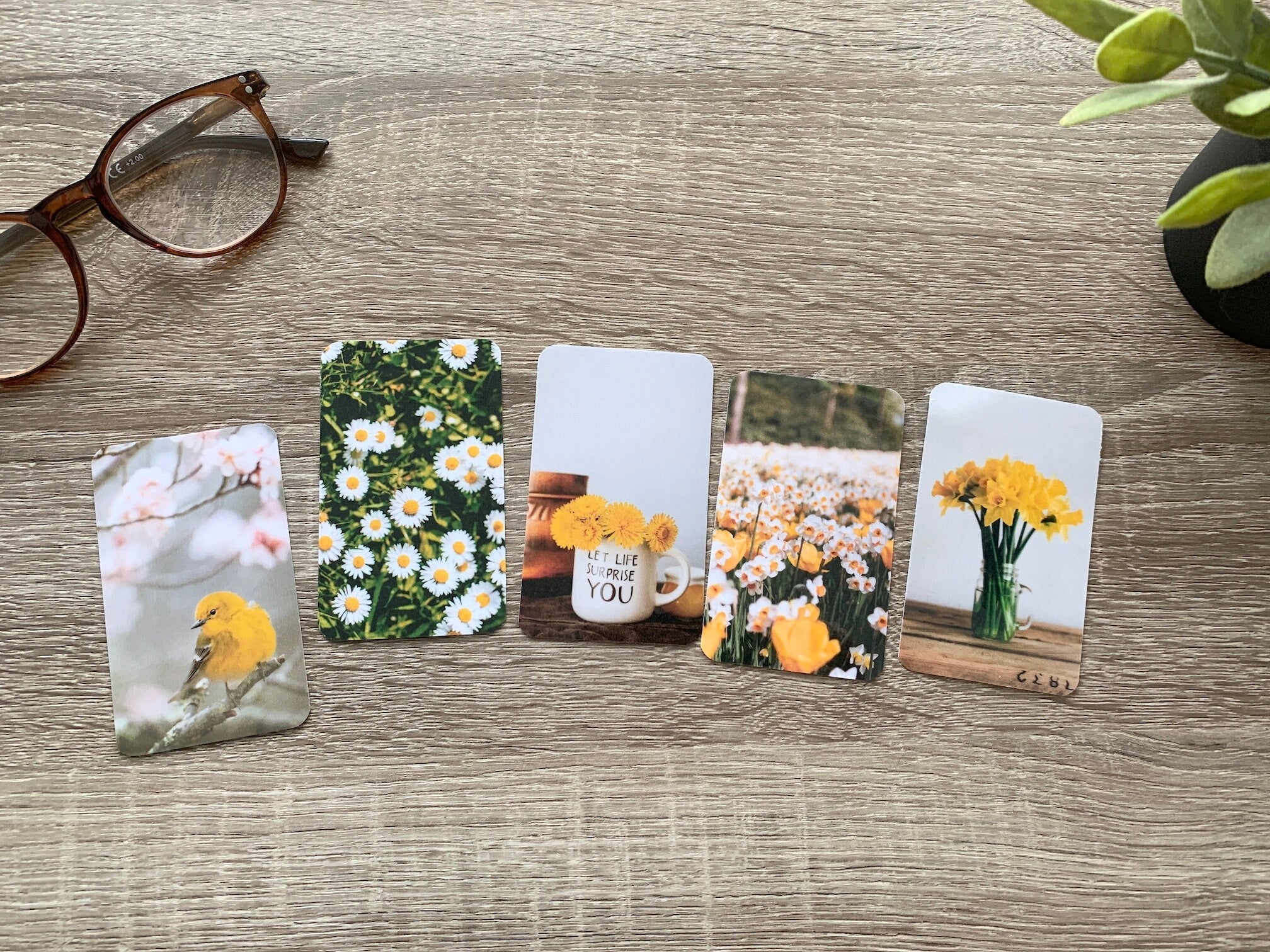Journal Cards - Yellow Spring Set