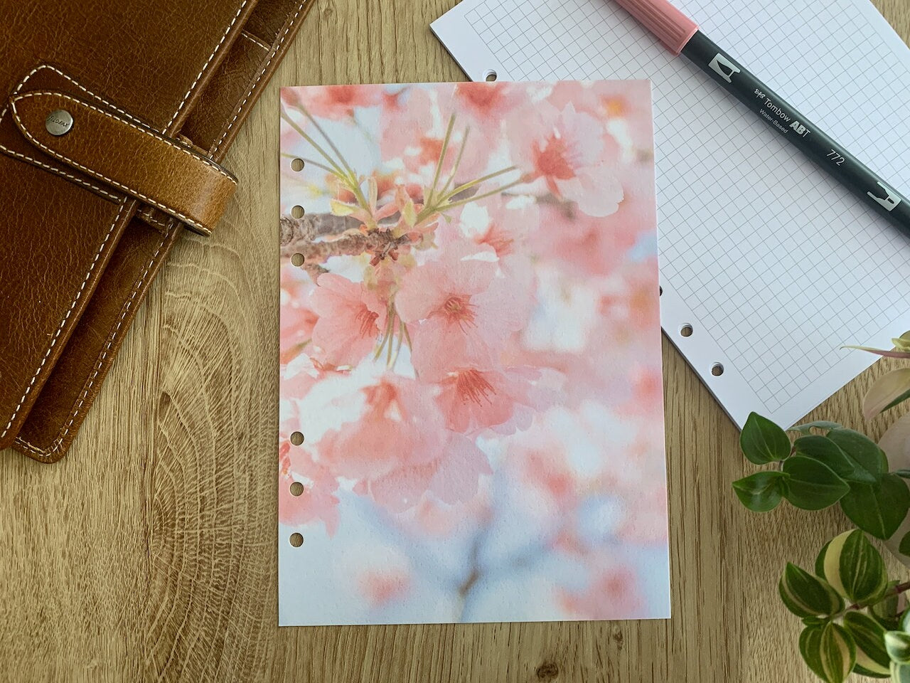 Pretty Blossom - Planner Dashboard