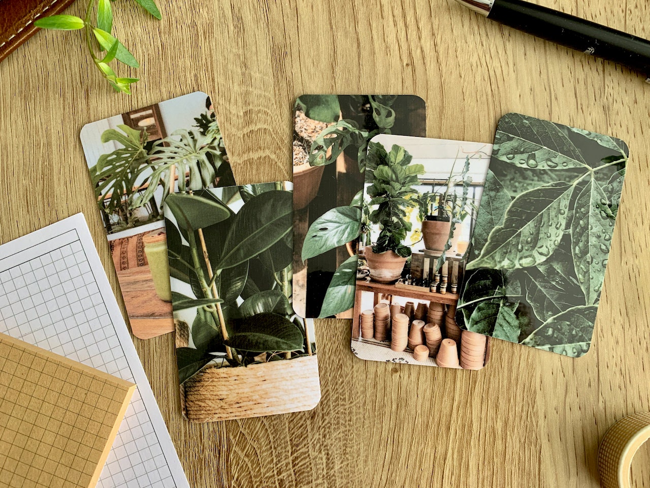 Journal Cards - Calming House Plants
