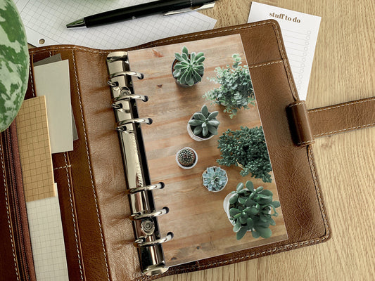 Succulents on Desk Dashboard