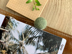 Load image into Gallery viewer, Tropical Green Pom Pom Paperclips
