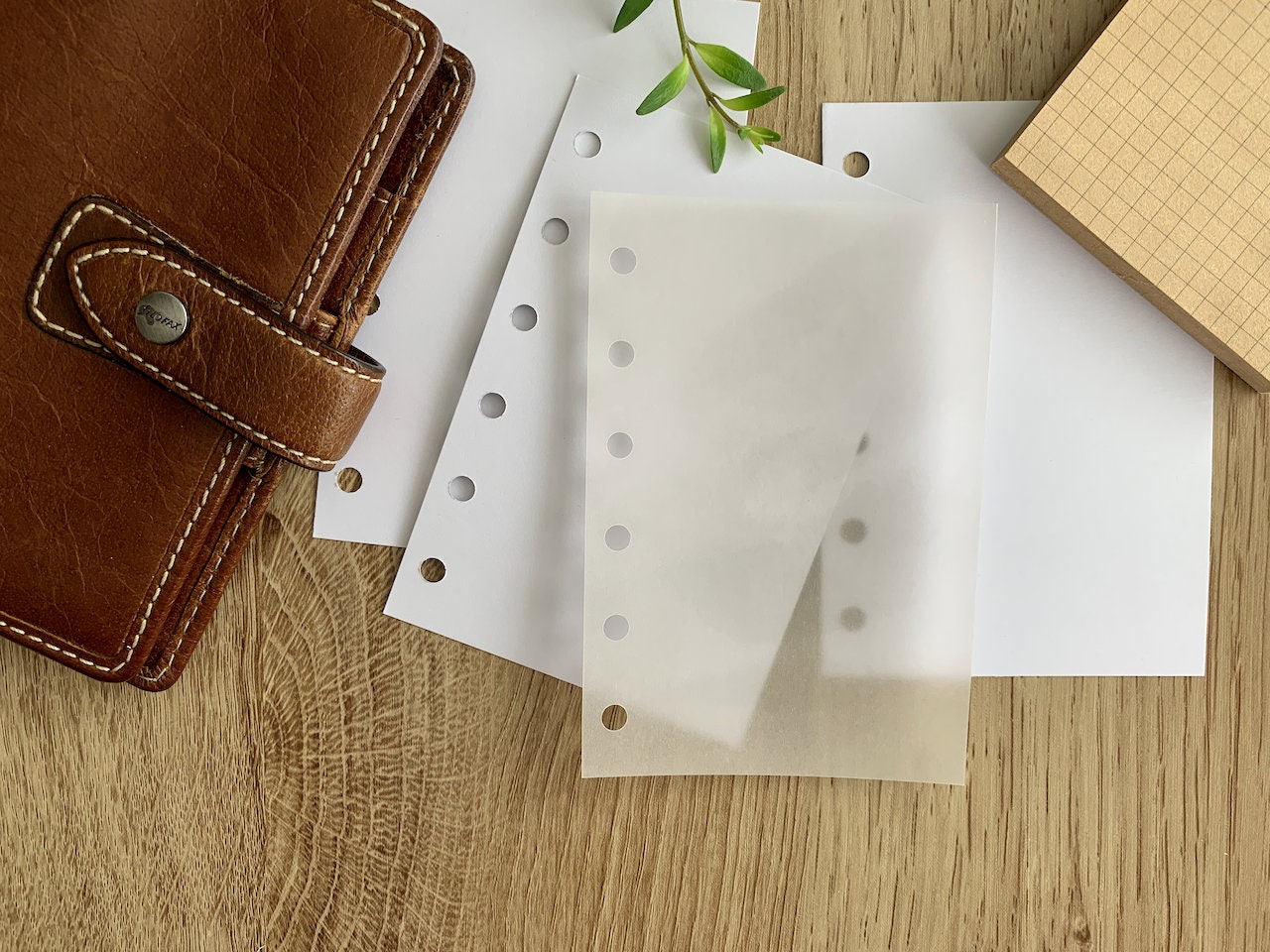 Neutral Texture Vellum Dashboards - Set of 4