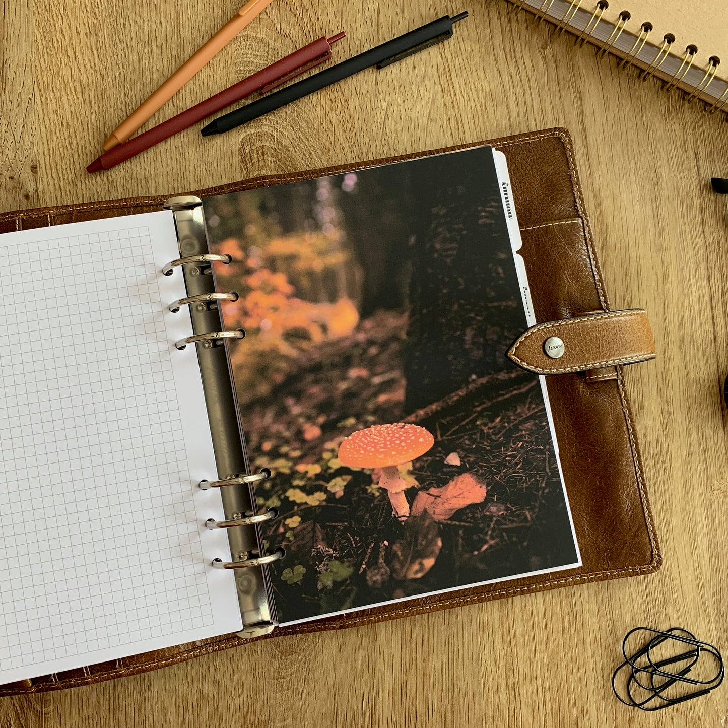 Autumn toadstool - Fall Dashboard - Fits A5, B6, Personal Wide, Personal, A6, Pocket, Mini Ring Planners. Protective Cover.