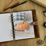 Load image into Gallery viewer, Autumn neutral pumpkin - Fall Dashboard - Fits A5, B6, Personal Wide, Personal, A6, Pocket, Mini Ring Planners. Protective Cover.
