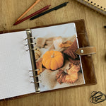 Load image into Gallery viewer, Autumn crisp leaves - Fall Dashboard - Fits A5, B6, Personal Wide, Personal, A6, Pocket, Mini Ring Planners. Protective Cover.
